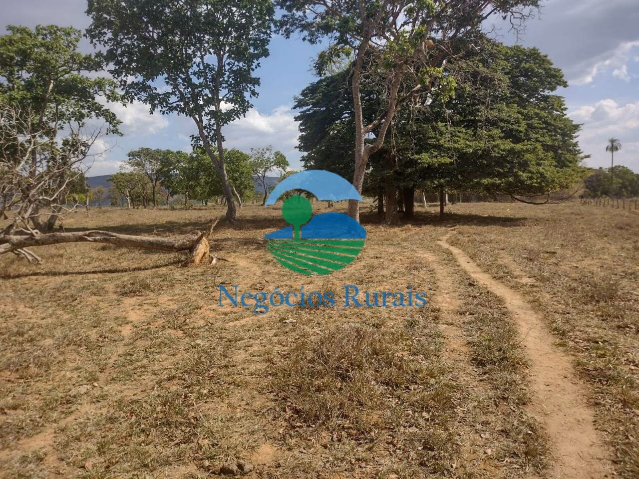 Small farm of 143 acres in Padre Bernardo, GO, Brazil