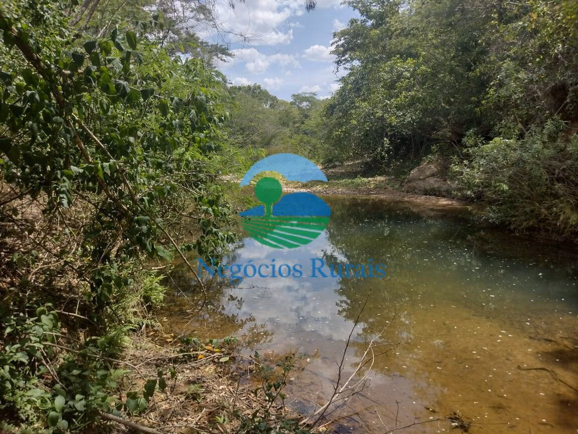 Sítio de 58 ha em Padre Bernardo, GO