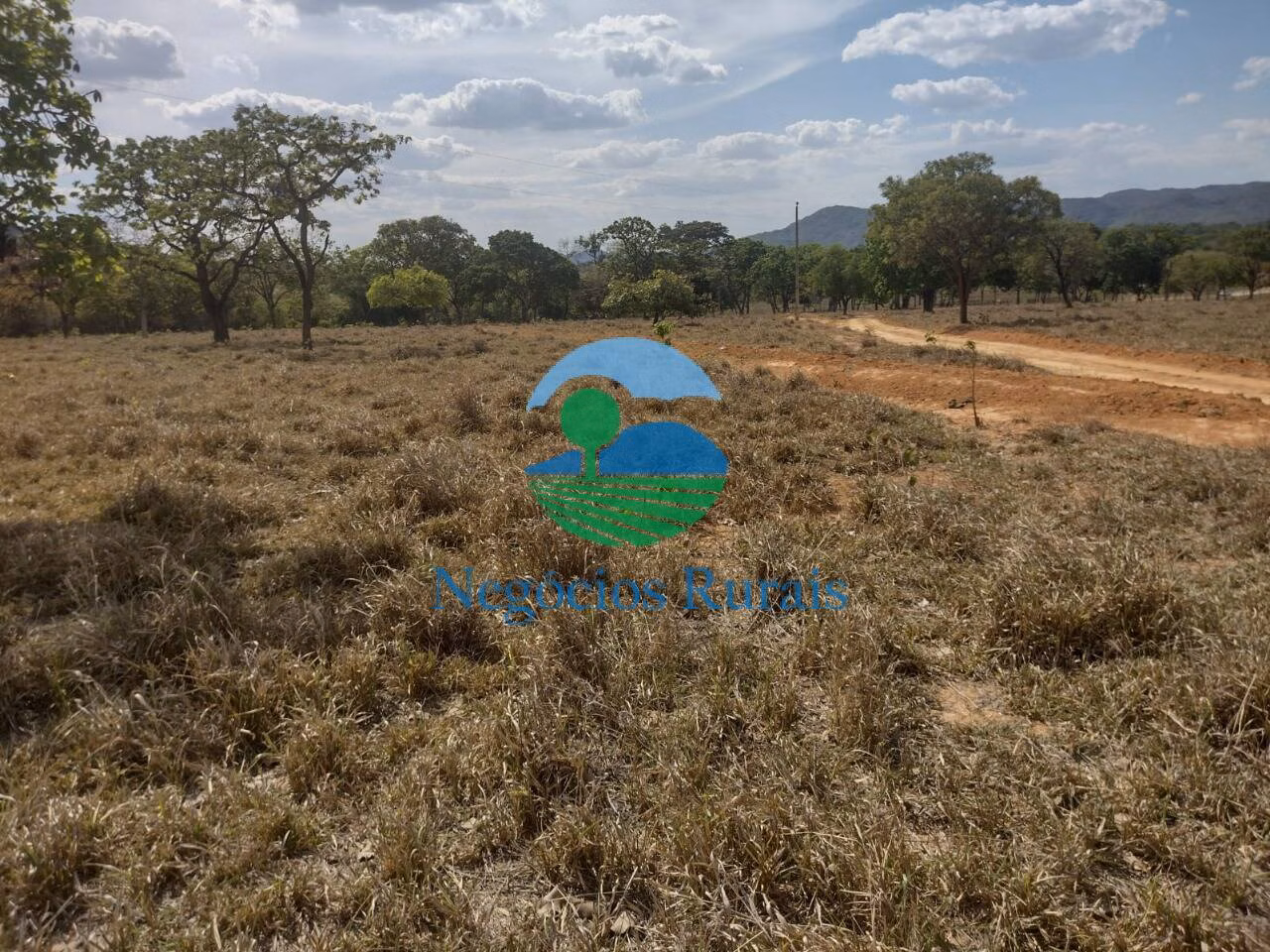 Sítio de 58 ha em Padre Bernardo, GO