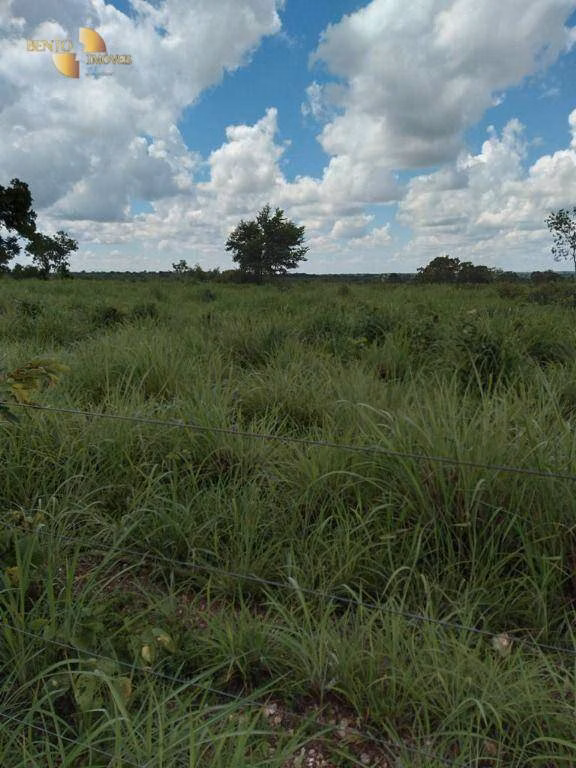 Fazenda de 2.898 ha em Nossa Senhora do Livramento, MT