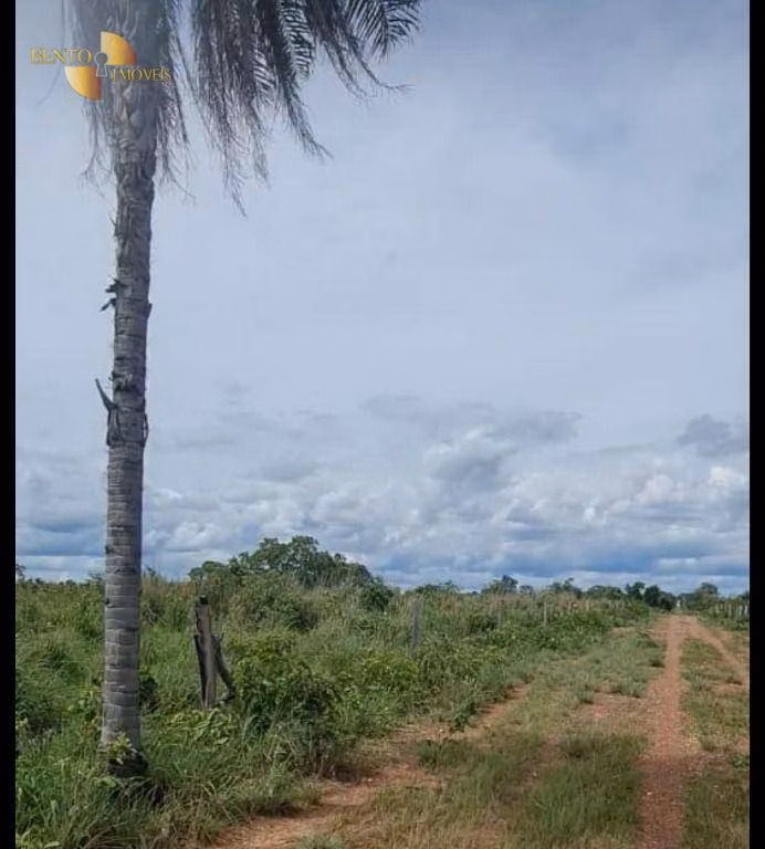 Fazenda de 2.898 ha em Nossa Senhora do Livramento, MT