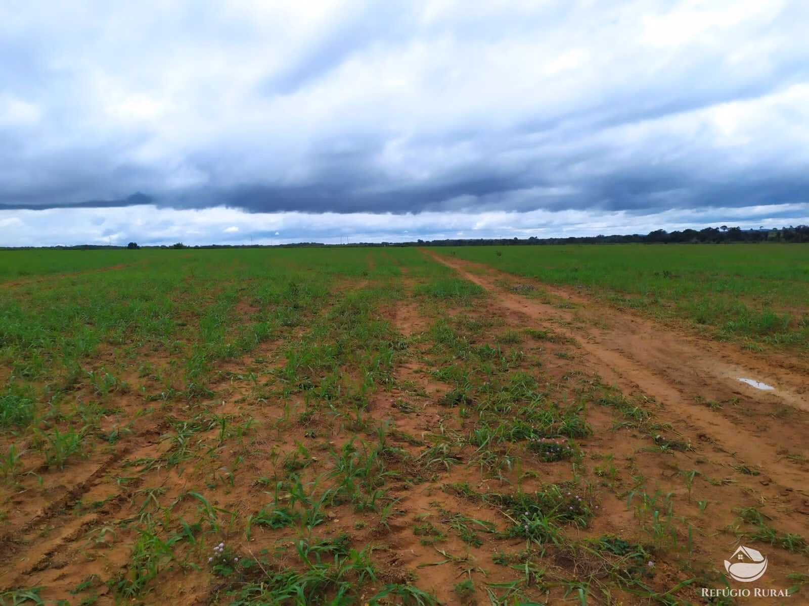 Farm of 2,031 acres in Alvorada, TO, Brazil