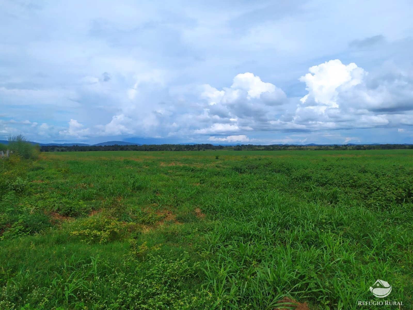 Farm of 2,031 acres in Alvorada, TO, Brazil