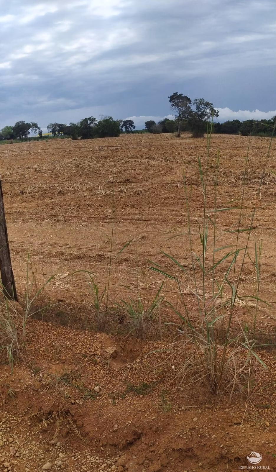 Farm of 2,031 acres in Alvorada, TO, Brazil