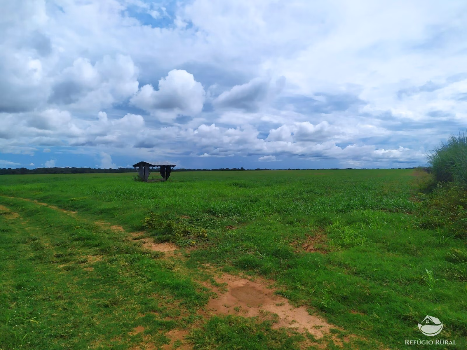 Farm of 2,031 acres in Alvorada, TO, Brazil