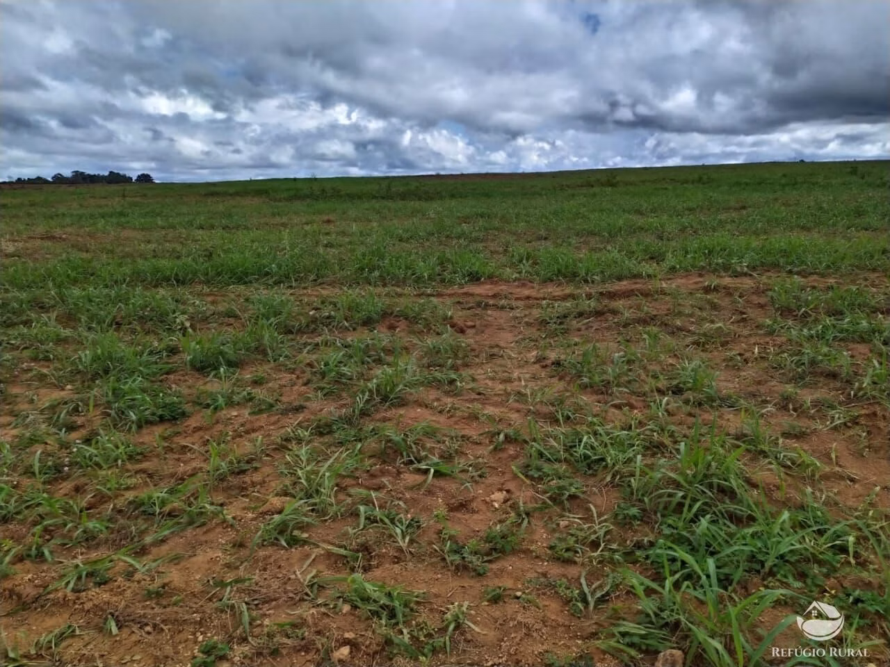 Farm of 2,031 acres in Alvorada, TO, Brazil