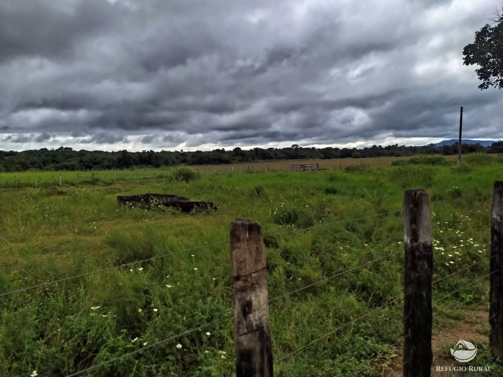 Farm of 2,031 acres in Alvorada, TO, Brazil