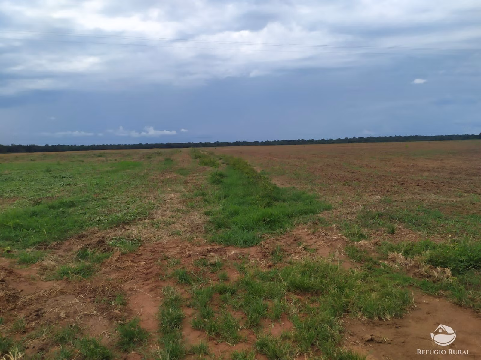 Farm of 2,031 acres in Alvorada, TO, Brazil