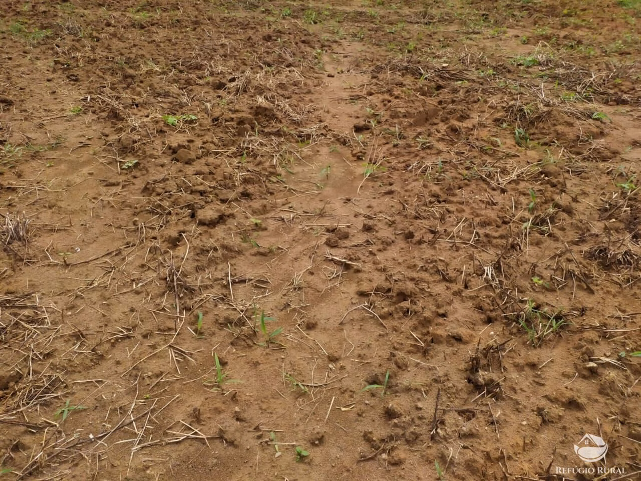 Farm of 2,031 acres in Alvorada, TO, Brazil