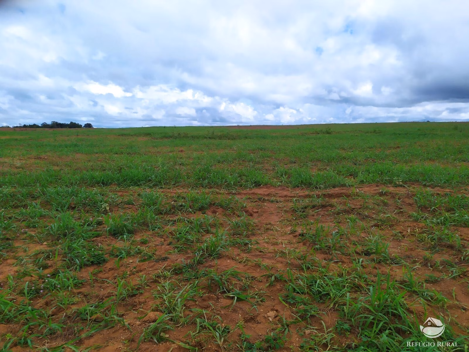 Farm of 2.031 acres in Alvorada, TO, Brazil