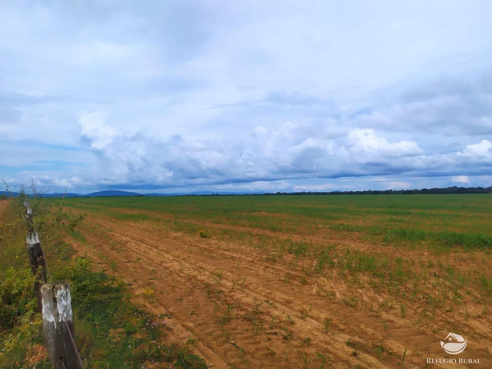 Farm of 2,031 acres in Alvorada, TO, Brazil