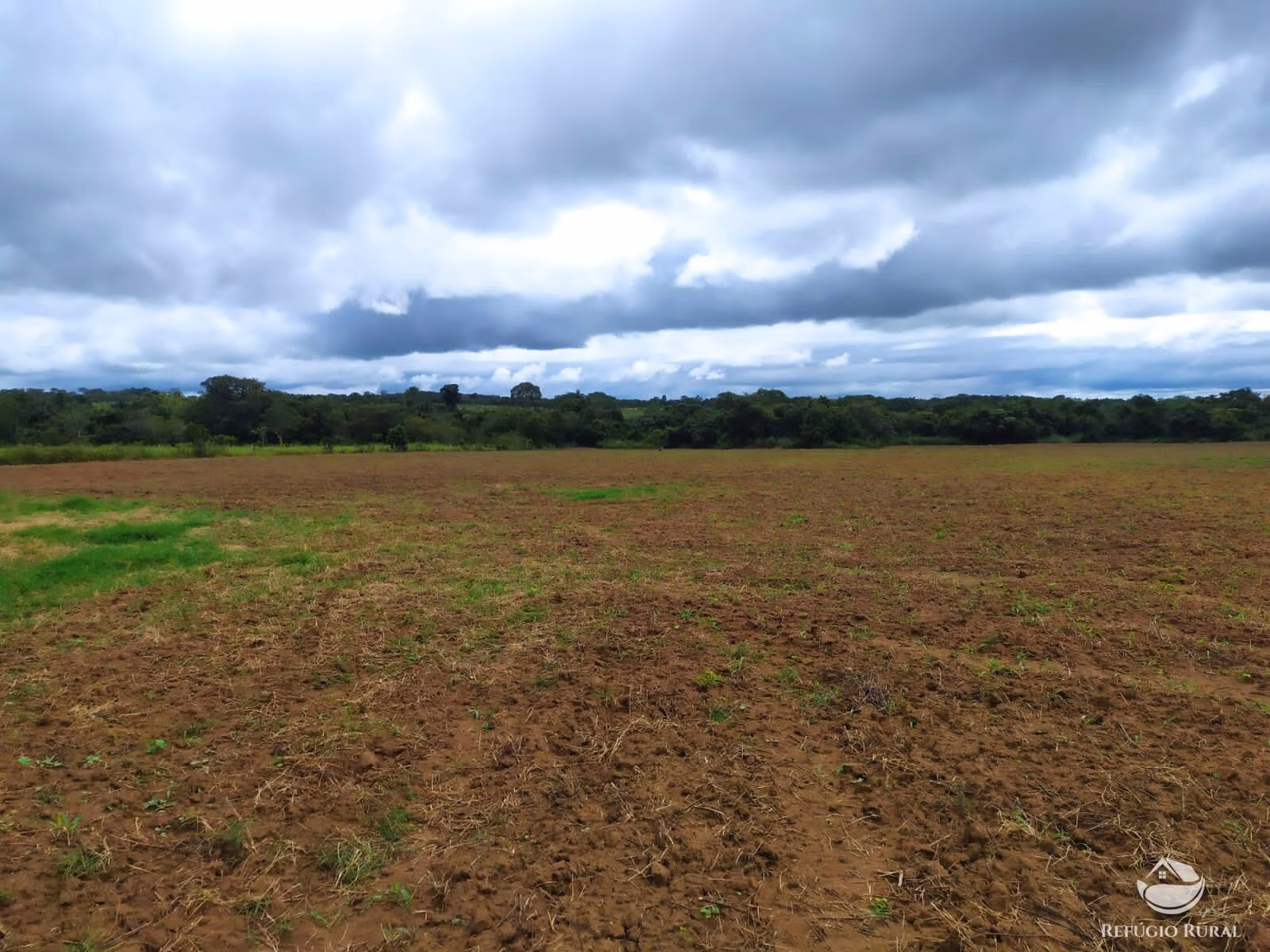 Farm of 2,031 acres in Alvorada, TO, Brazil