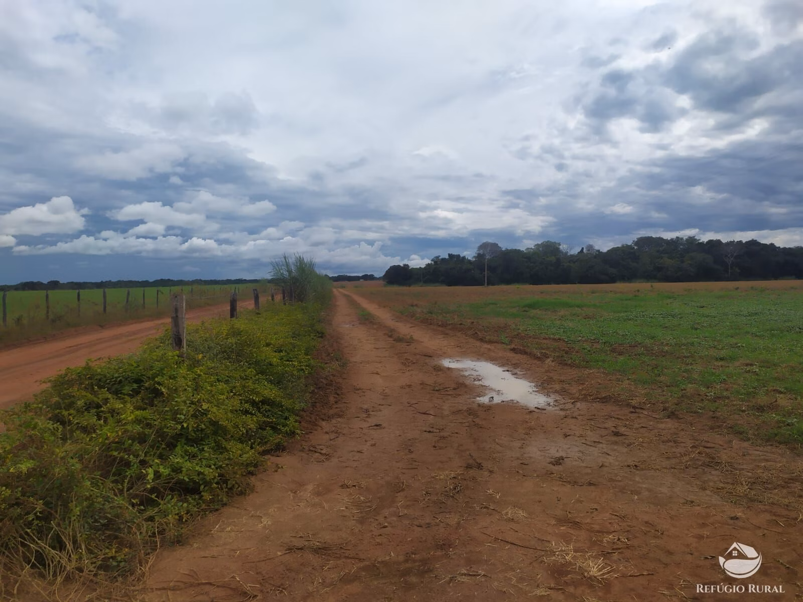 Farm of 2,031 acres in Alvorada, TO, Brazil