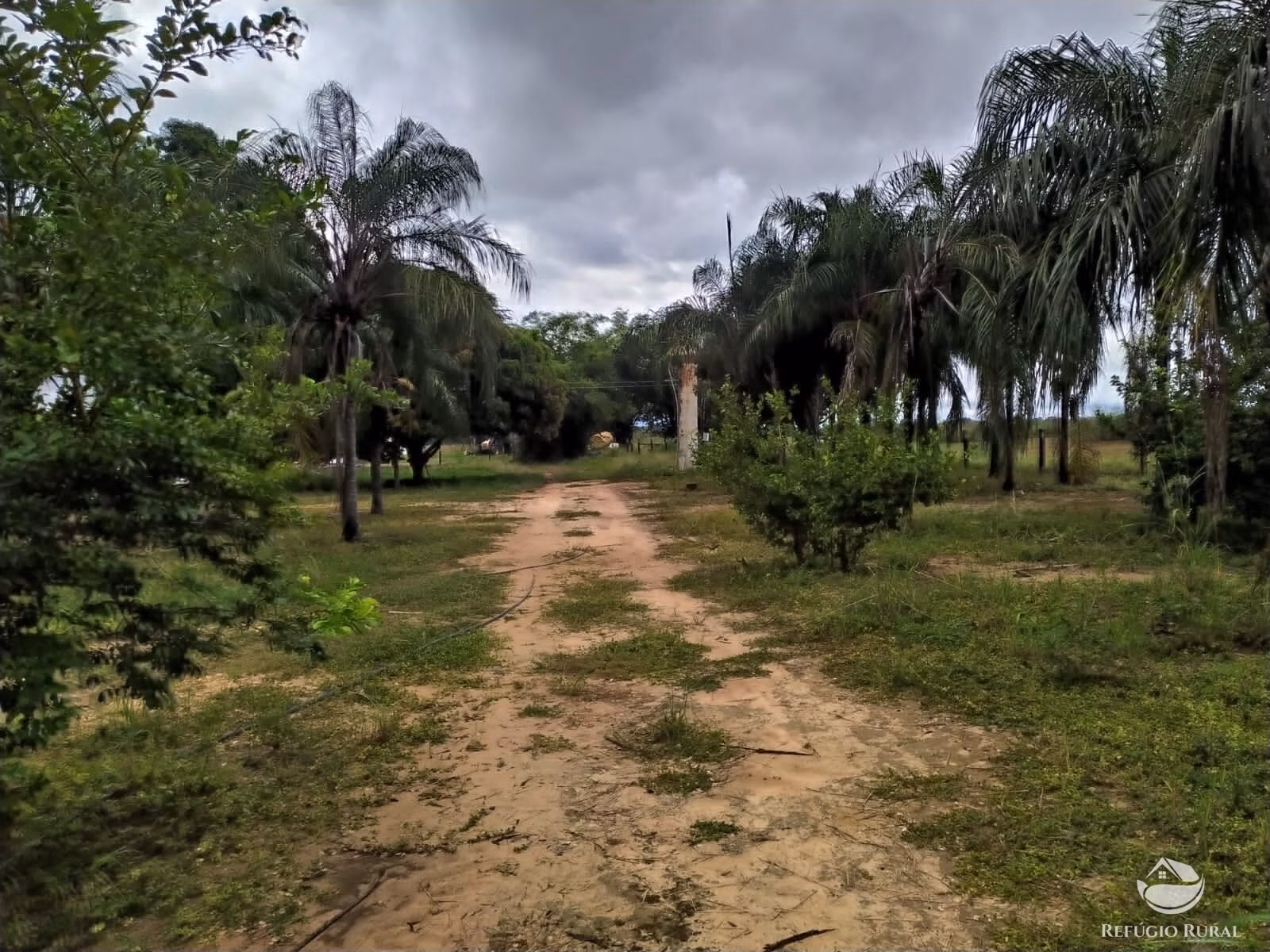 Farm of 2,031 acres in Alvorada, TO, Brazil