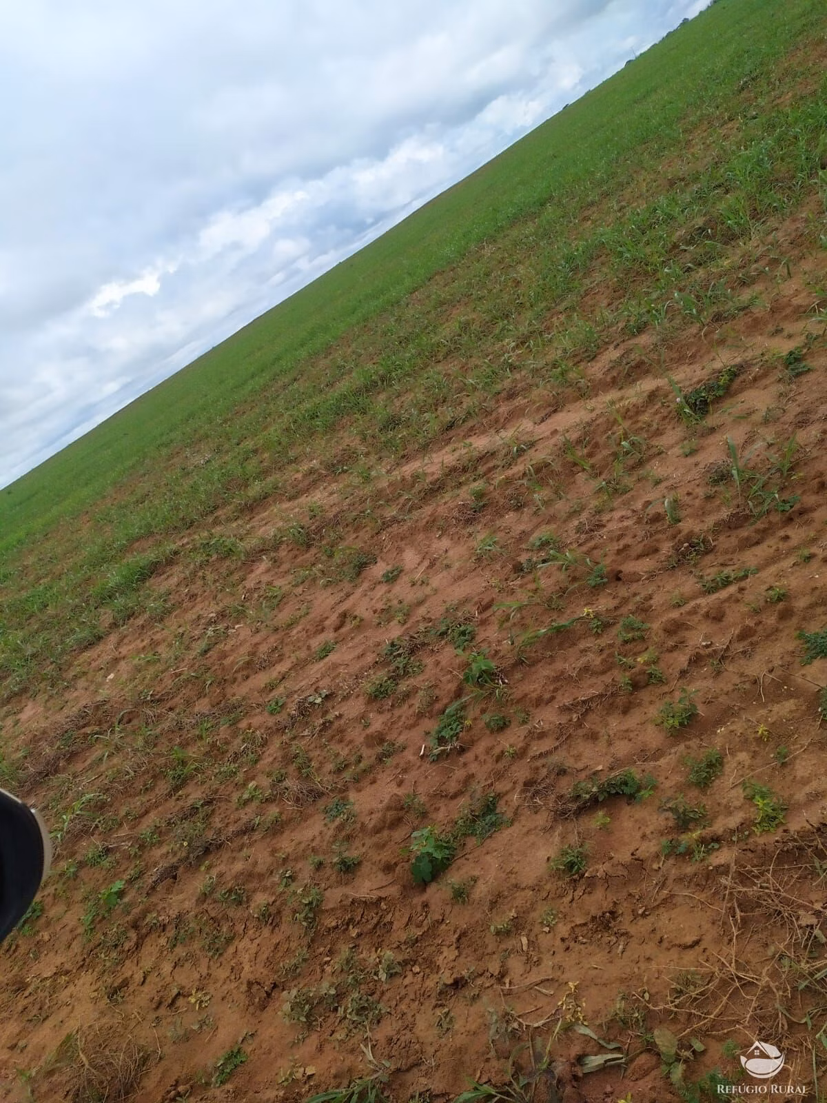Farm of 2,031 acres in Alvorada, TO, Brazil