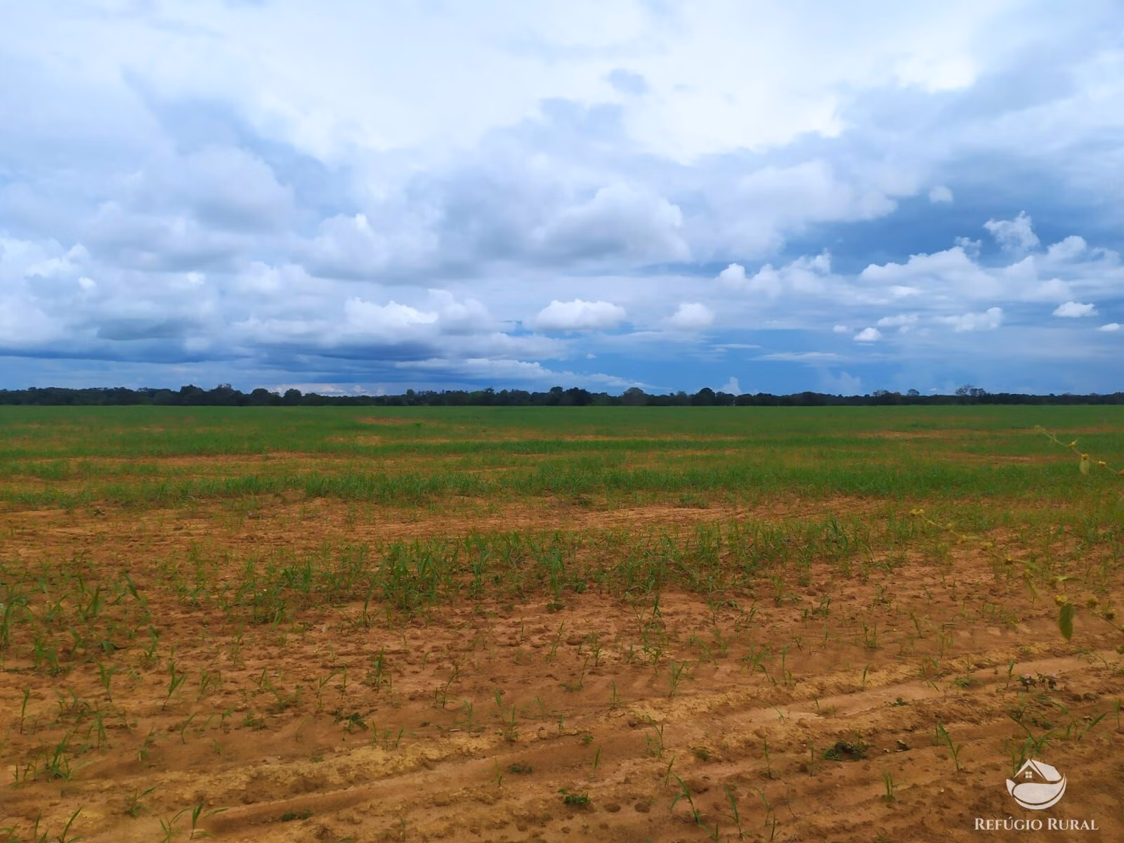 Farm of 2,031 acres in Alvorada, TO, Brazil