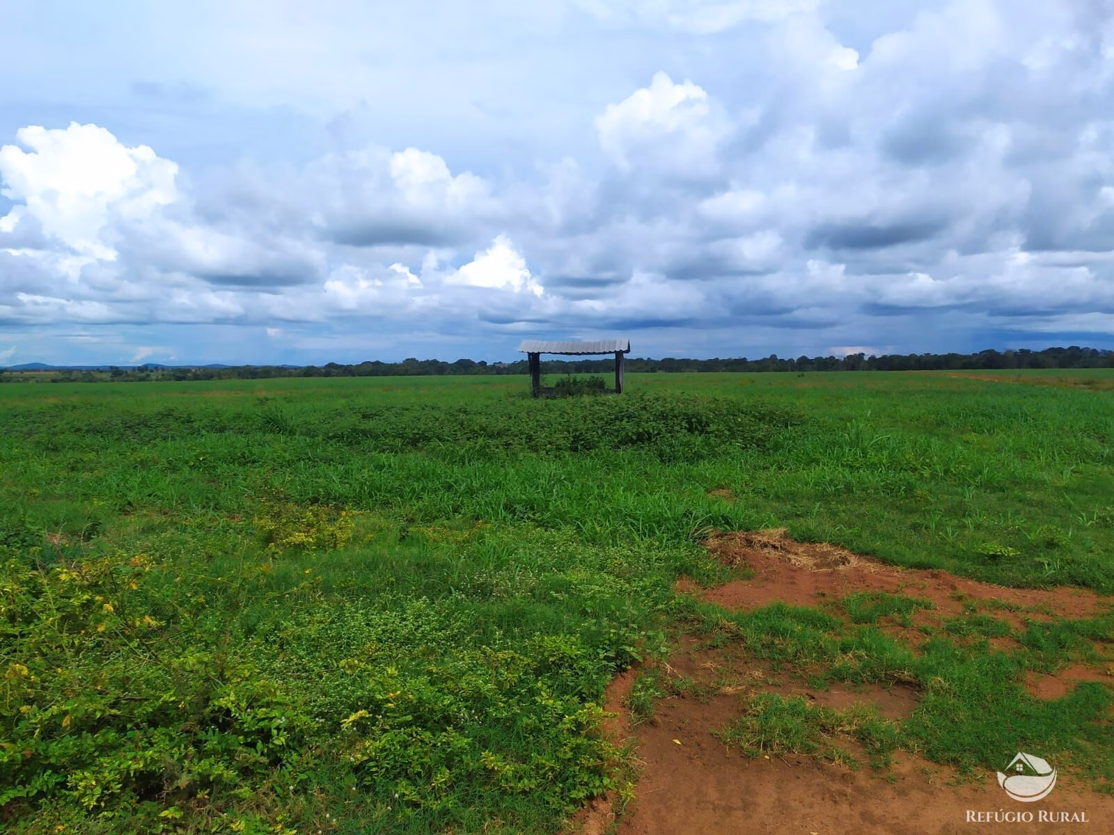 Farm of 2,031 acres in Alvorada, TO, Brazil