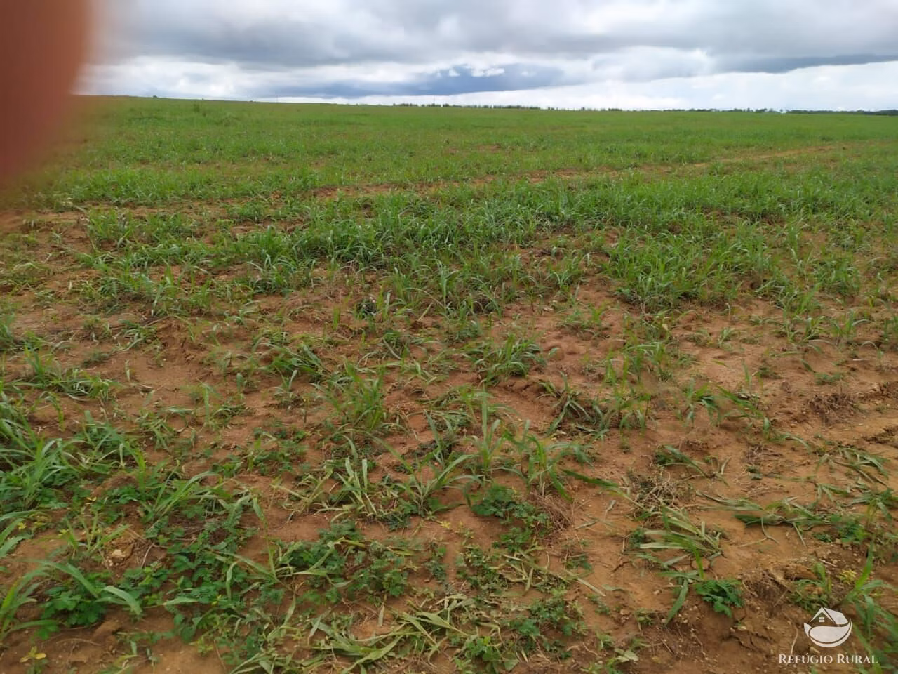 Farm of 2,031 acres in Alvorada, TO, Brazil