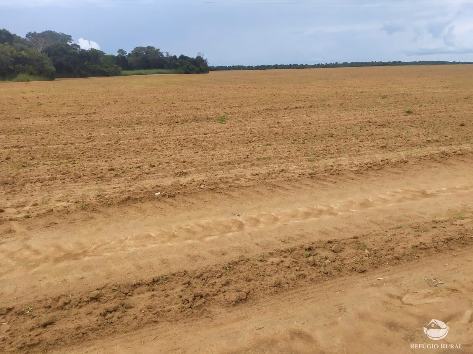 Farm of 2,031 acres in Alvorada, TO, Brazil