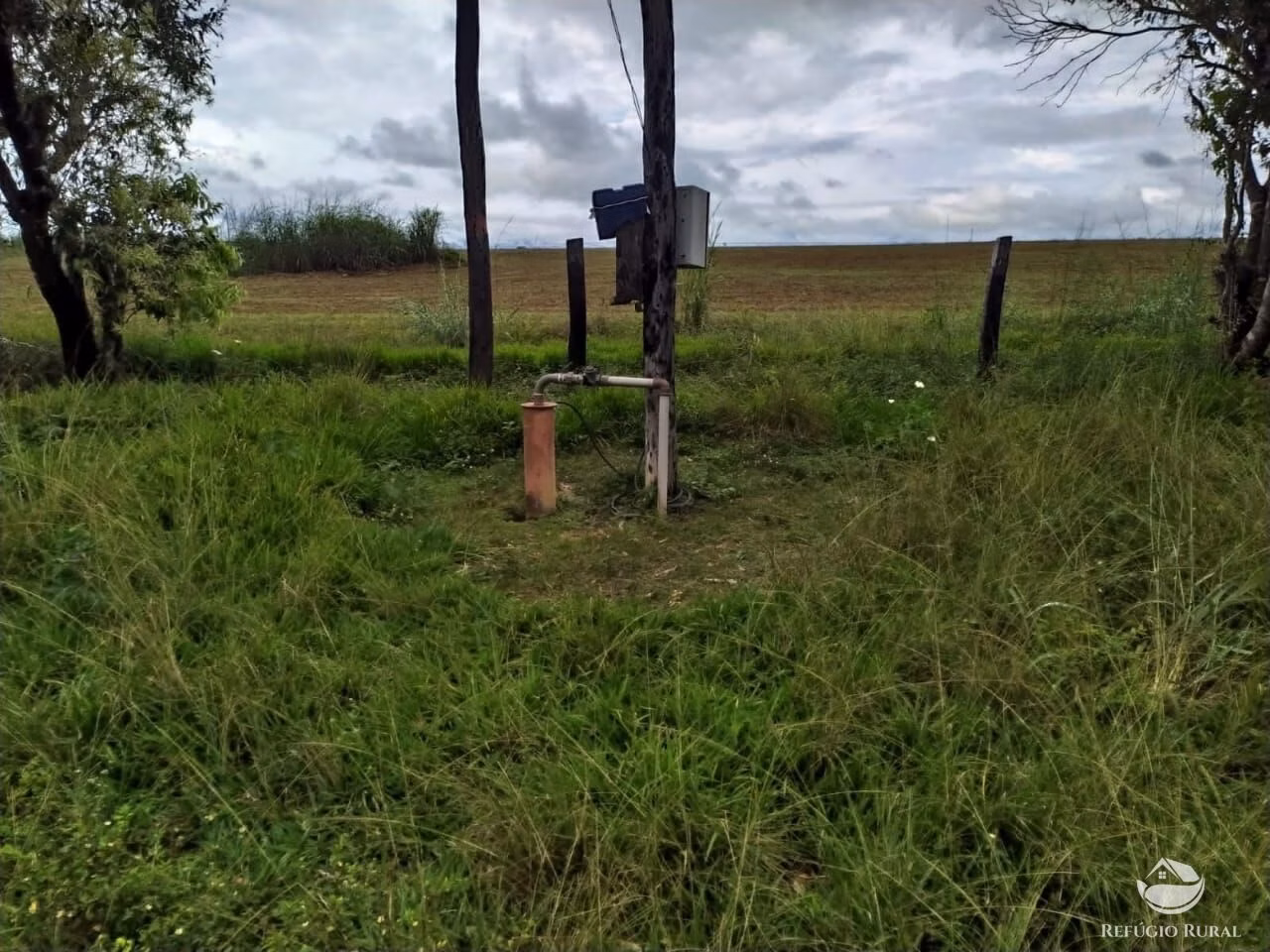 Farm of 2,031 acres in Alvorada, TO, Brazil