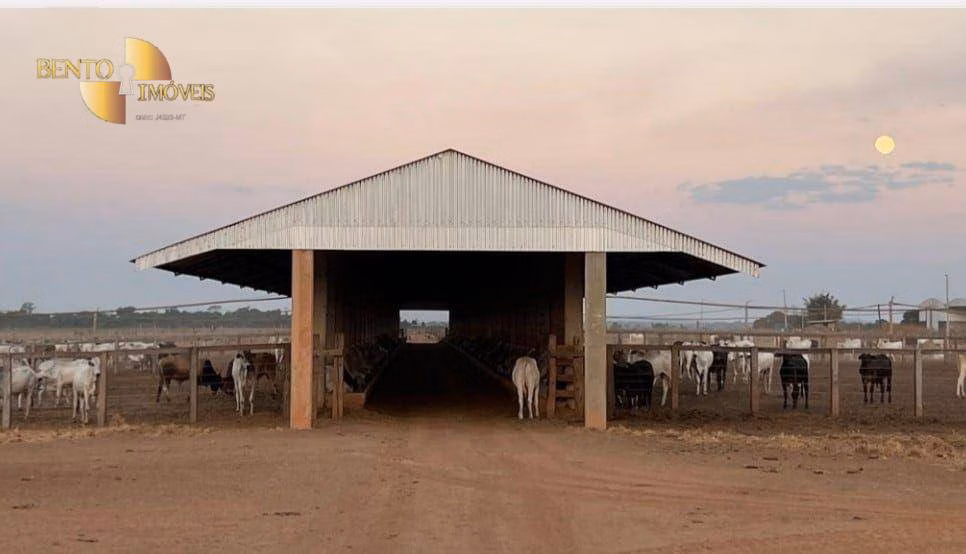 Fazenda de 4.236 ha em Santa Terezinha, MT
