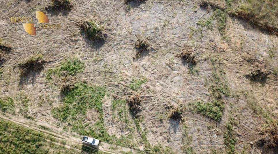 Fazenda de 4.236 ha em Santa Terezinha, MT