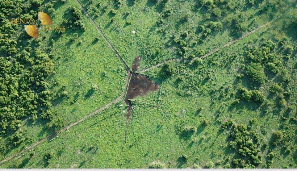 Fazenda de 4.236 ha em Santa Terezinha, MT