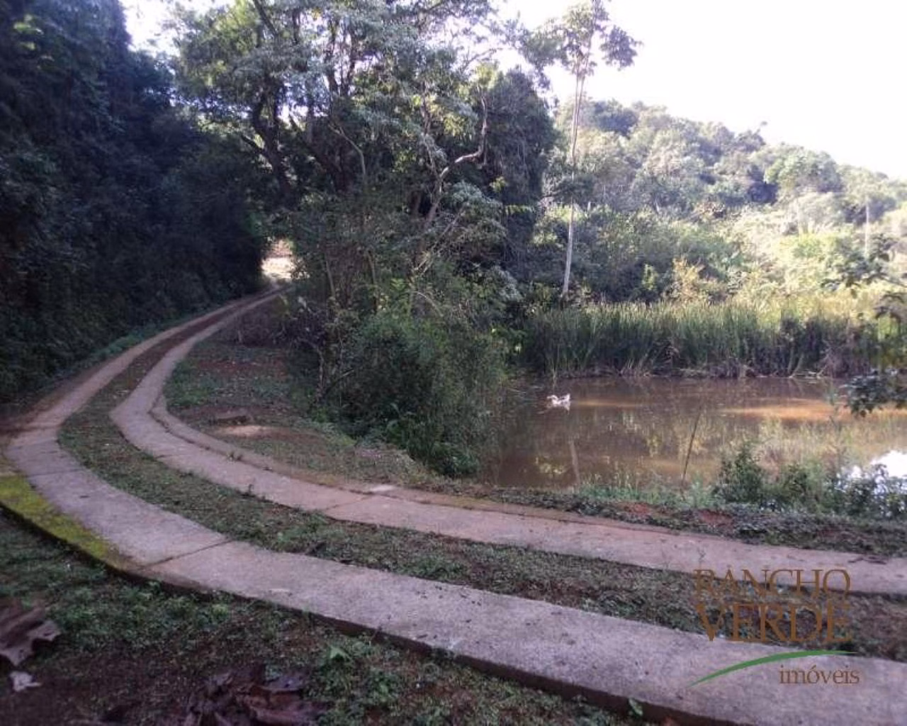 Sítio de 34 ha em Jambeiro, SP