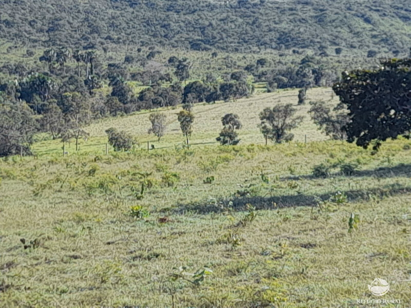 Farm of 3.383 acres in Minaçu, GO, Brazil