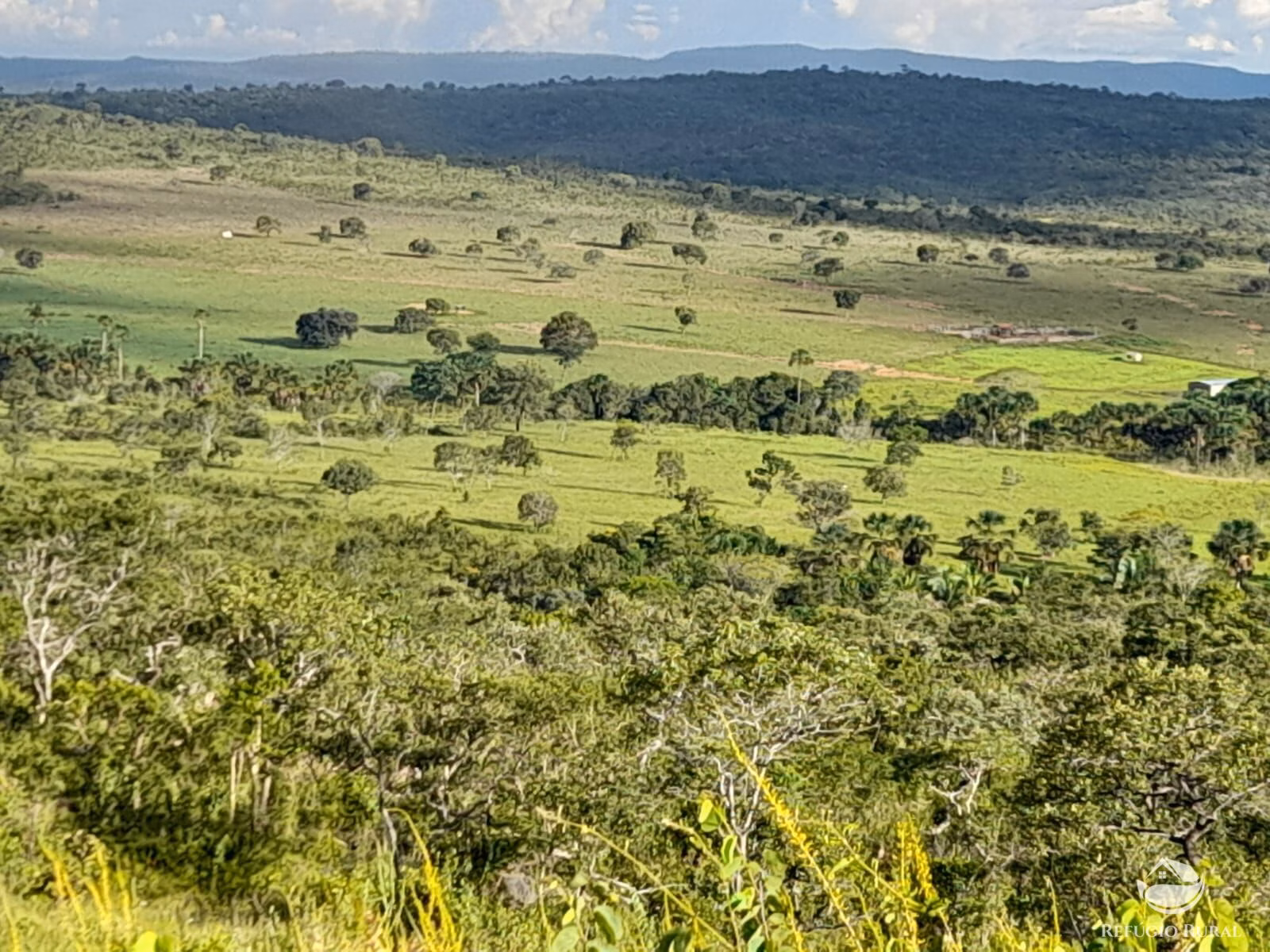 Fazenda de 1.369 ha em Minaçu, GO
