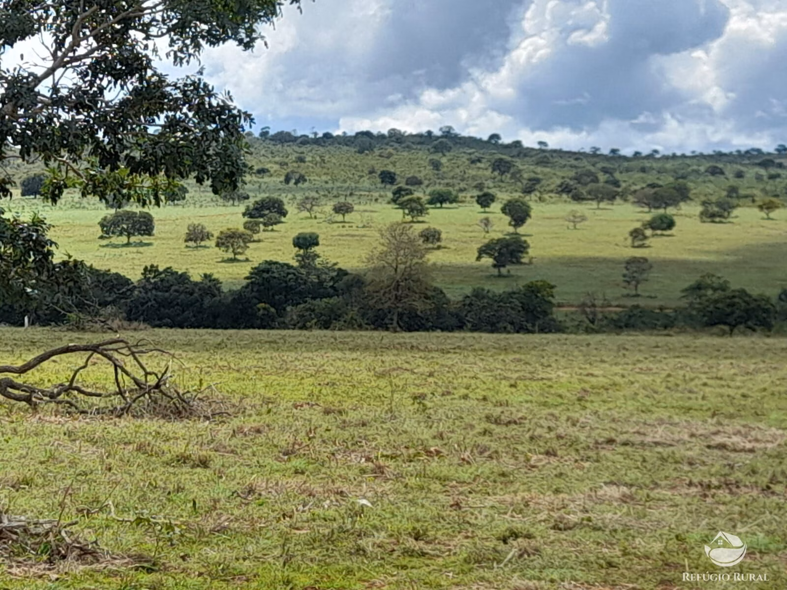 Fazenda de 1.369 ha em Minaçu, GO