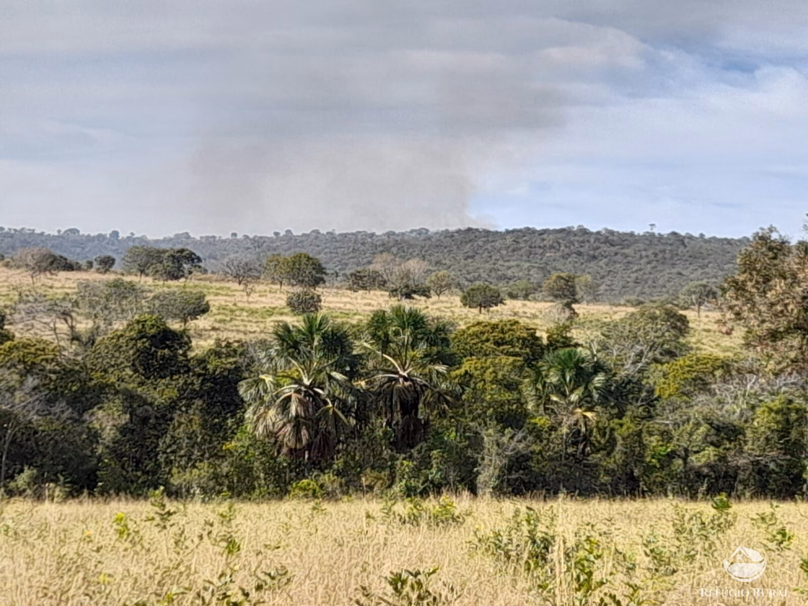 Fazenda de 1.369 ha em Minaçu, GO
