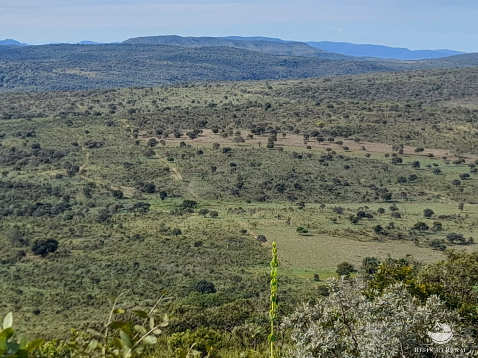 Fazenda de 1.369 ha em Minaçu, GO