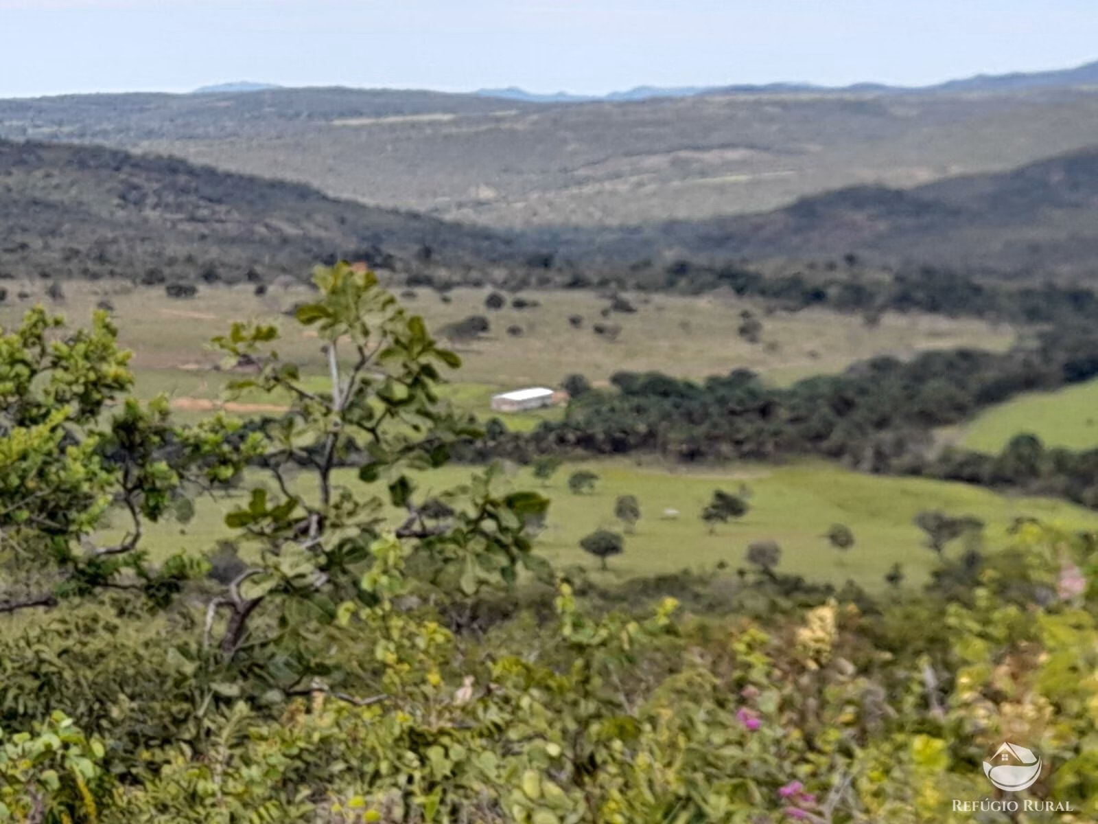 Fazenda de 1.369 ha em Minaçu, GO