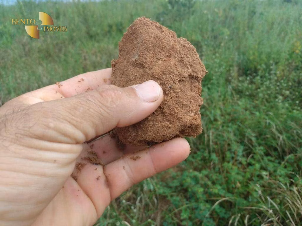 Fazenda de 300 ha em Poxoréu, MT
