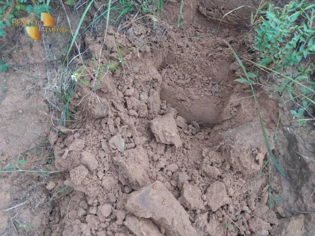 Fazenda de 300 ha em Poxoréu, MT