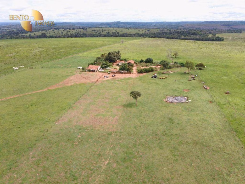 Fazenda de 300 ha em Poxoréu, MT