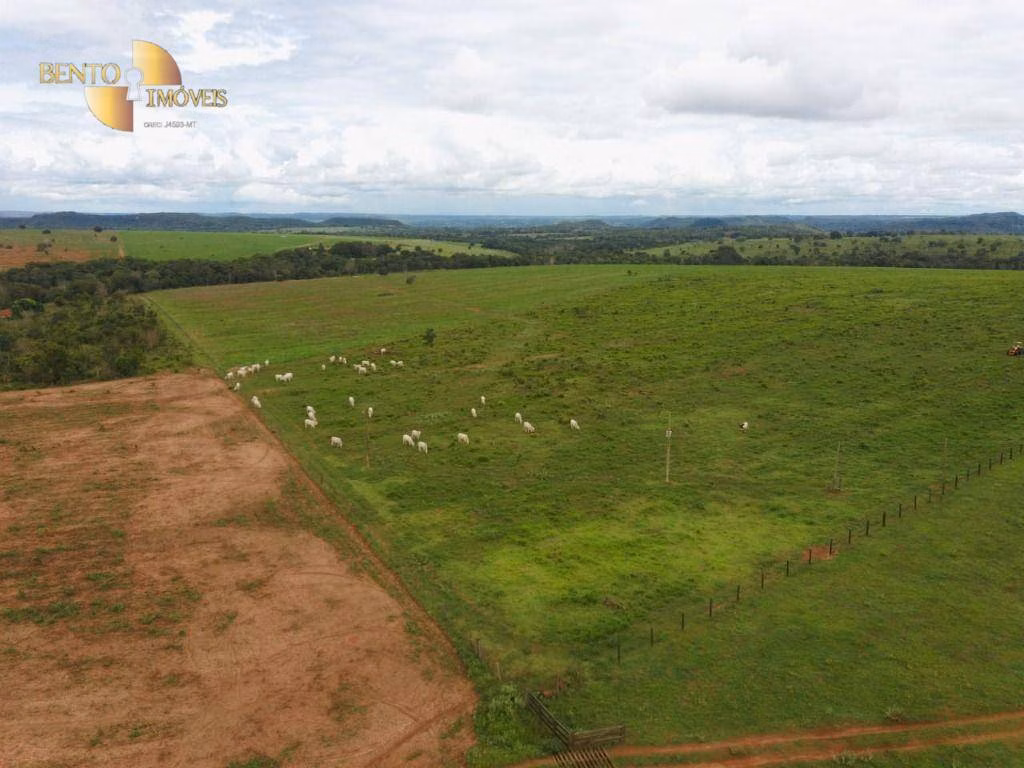 Farm of 741 acres in Poxoréu, MT, Brazil