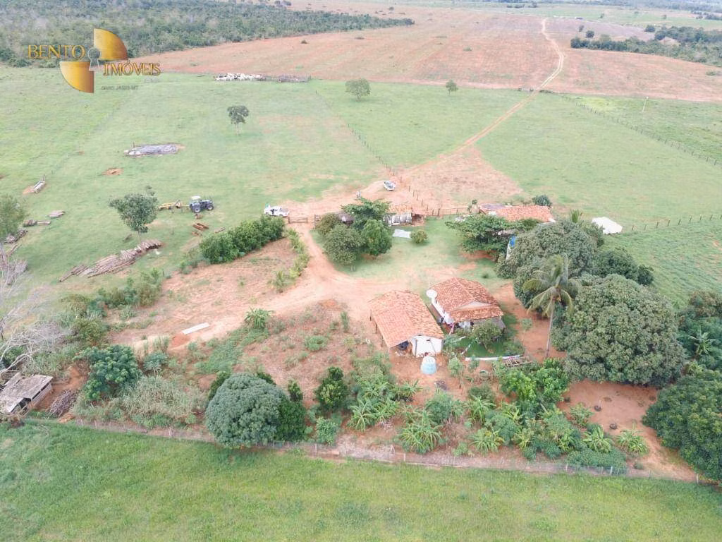 Fazenda de 300 ha em Poxoréu, MT