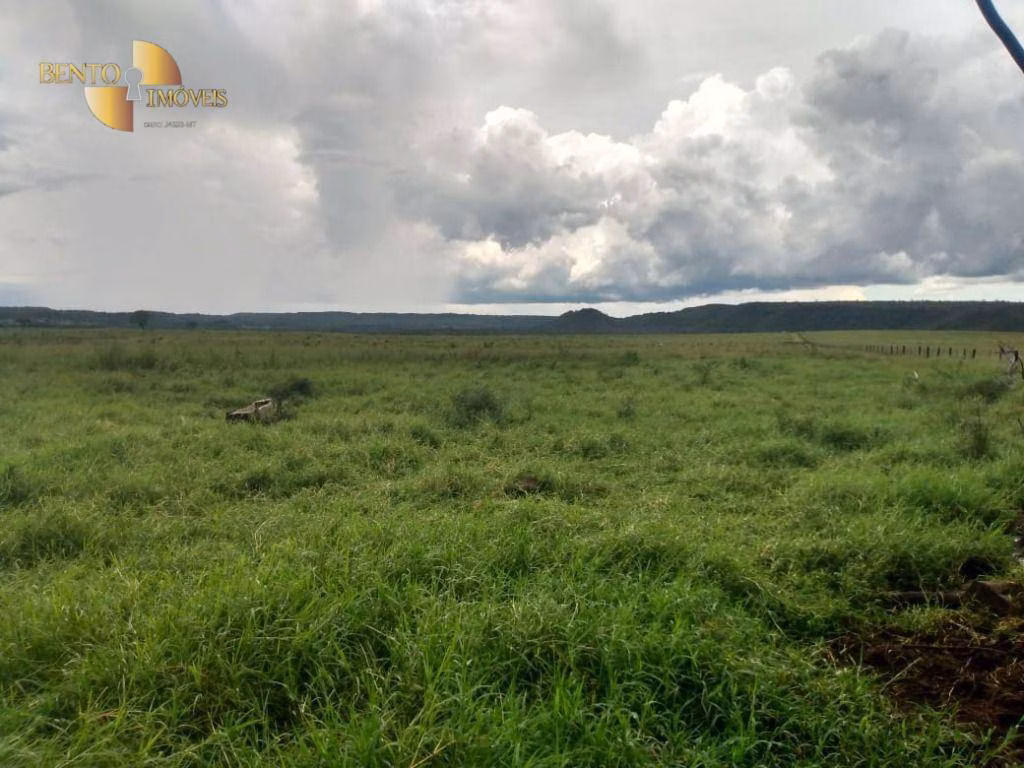 Farm of 741 acres in Poxoréu, MT, Brazil