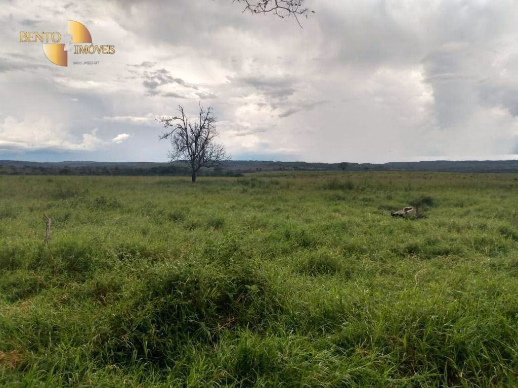Farm of 741 acres in Poxoréu, MT, Brazil