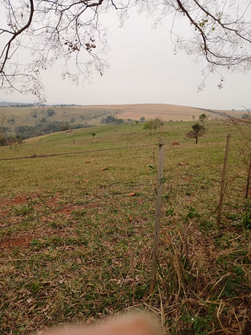 Fazenda de 435 ha em Piraju, SP
