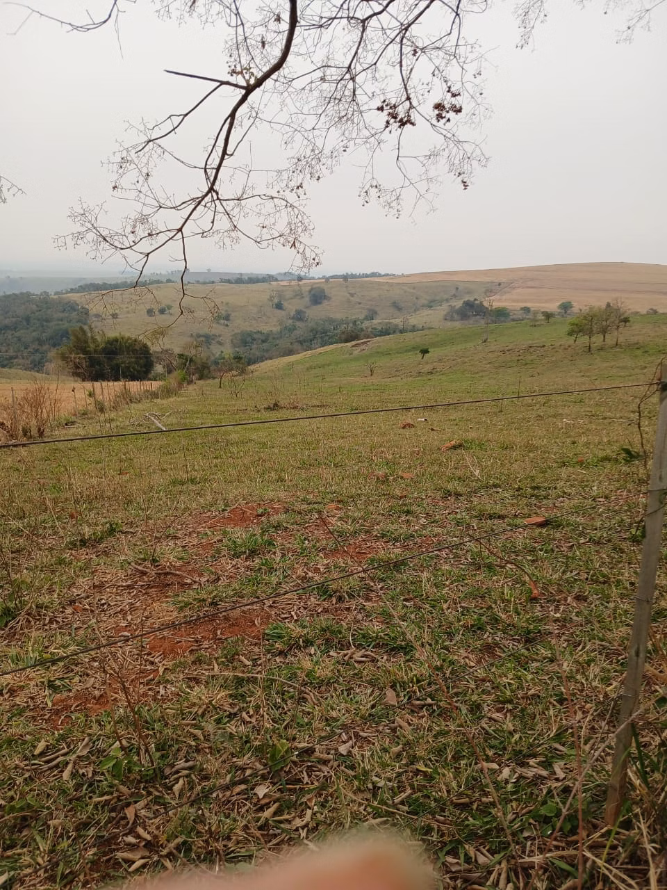 Fazenda de 435 ha em Piraju, SP