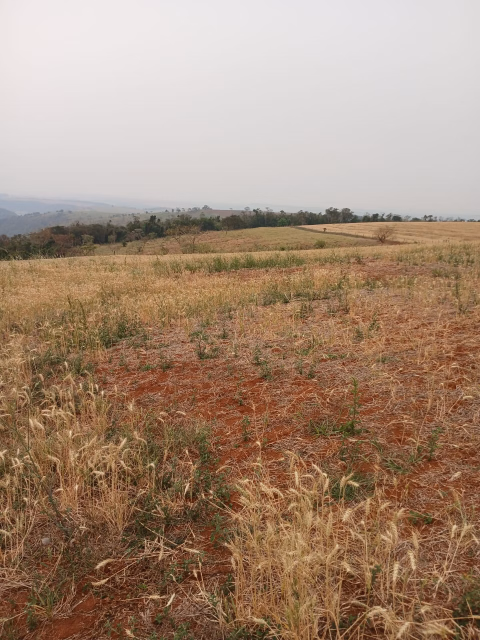 Fazenda de 435 ha em Piraju, SP