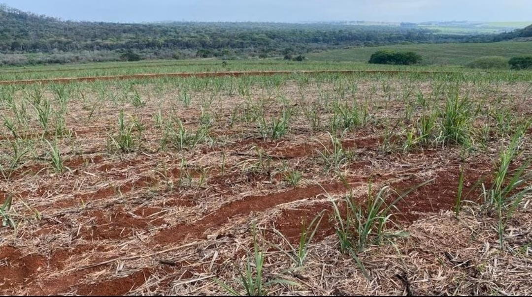 Fazenda de 162 ha em São Carlos, SP