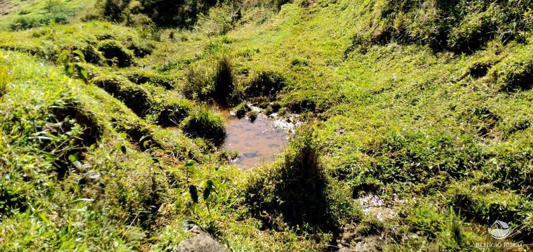 Small farm of 30 acres in São José dos Campos, SP, Brazil