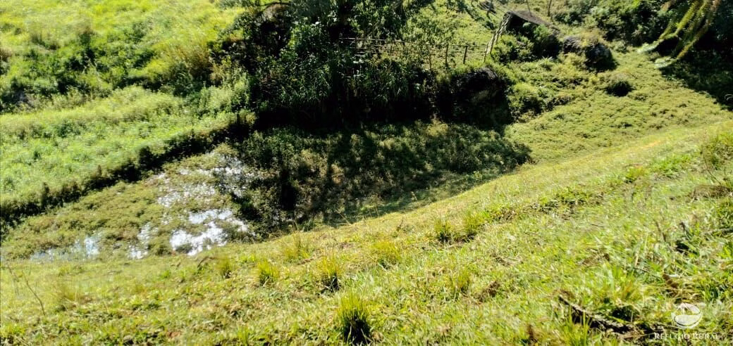Small farm of 30 acres in São José dos Campos, SP, Brazil