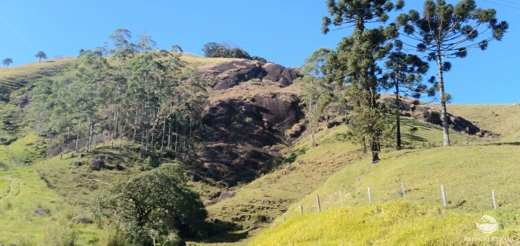 Small farm of 30 acres in São José dos Campos, SP, Brazil