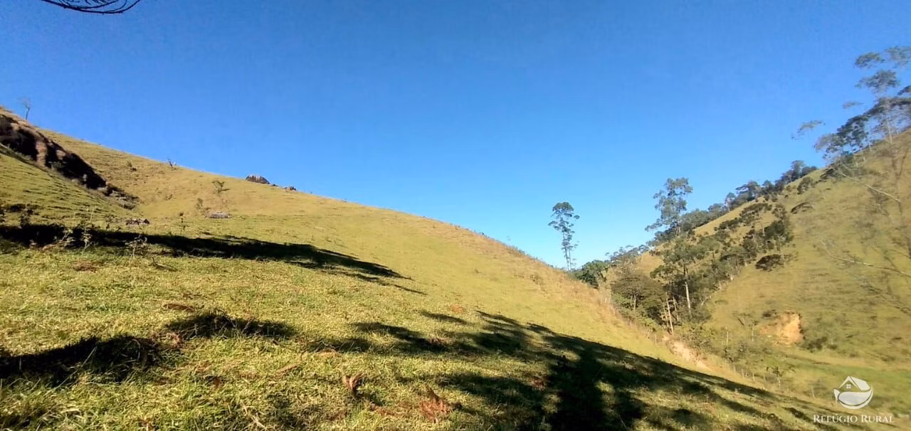 Small farm of 30 acres in São José dos Campos, SP, Brazil