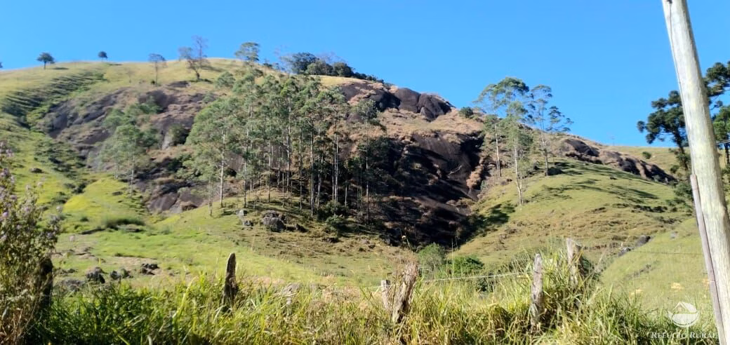 Small farm of 30 acres in São José dos Campos, SP, Brazil